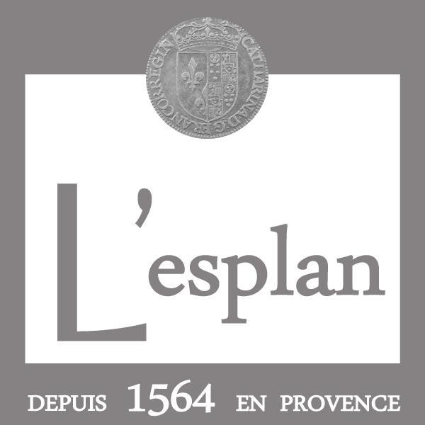 L'Esplan Ξενοδοχείο Saint-Paul-Trois-Chateaux Εξωτερικό φωτογραφία